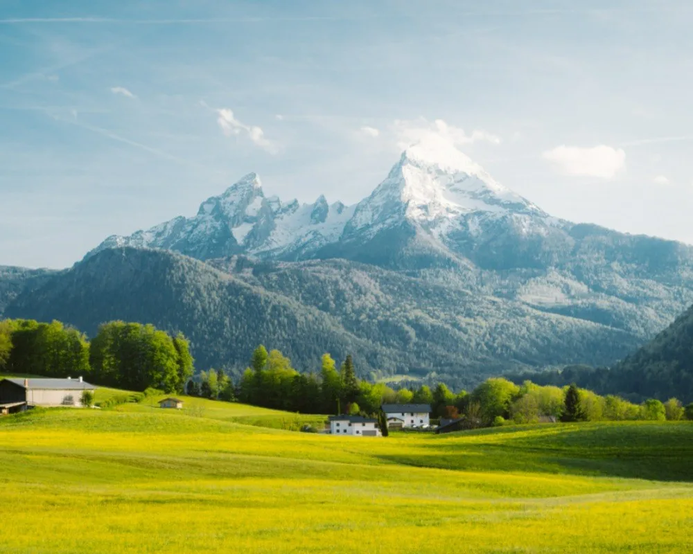 Bio Suisse Richtlinien 2026: Das ändert sich für den Fachhandel